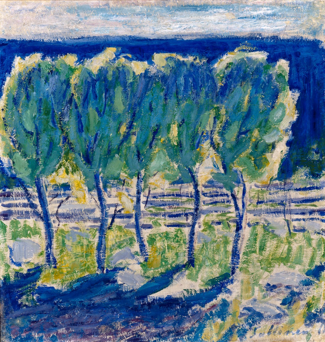 Tyko Sallinen, Leppiä keväällä, Alder Trees in the spring, 1911, Courtesy of HAM, photo Hanna Riikonen.